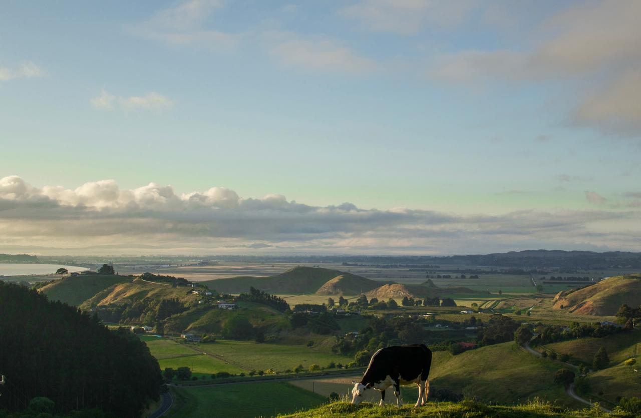The Grange Lodge Bay View エクステリア 写真